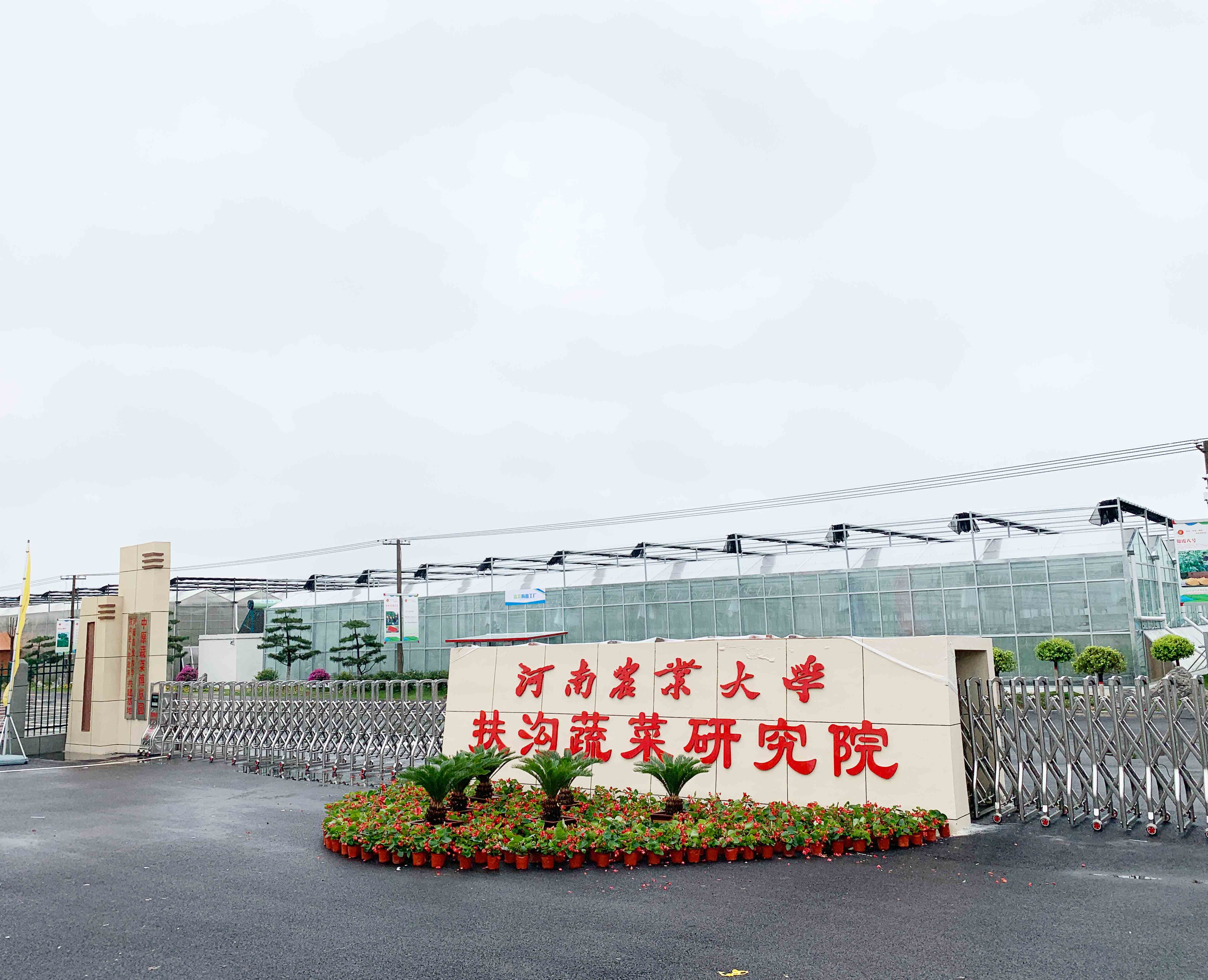 河南农大扶沟蔬菜研究院