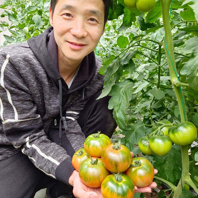 豫艺优六