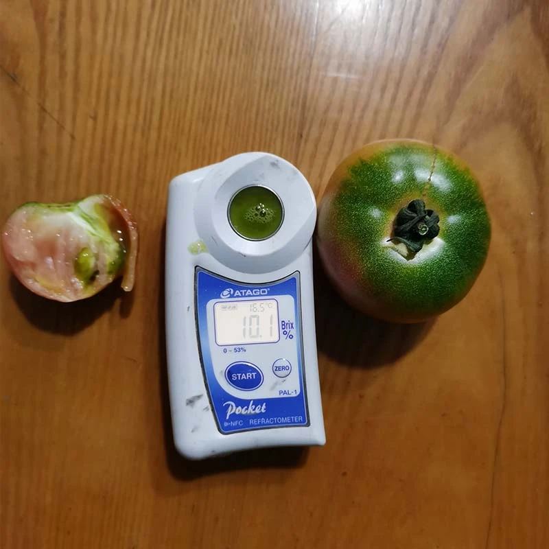 豫艺优六