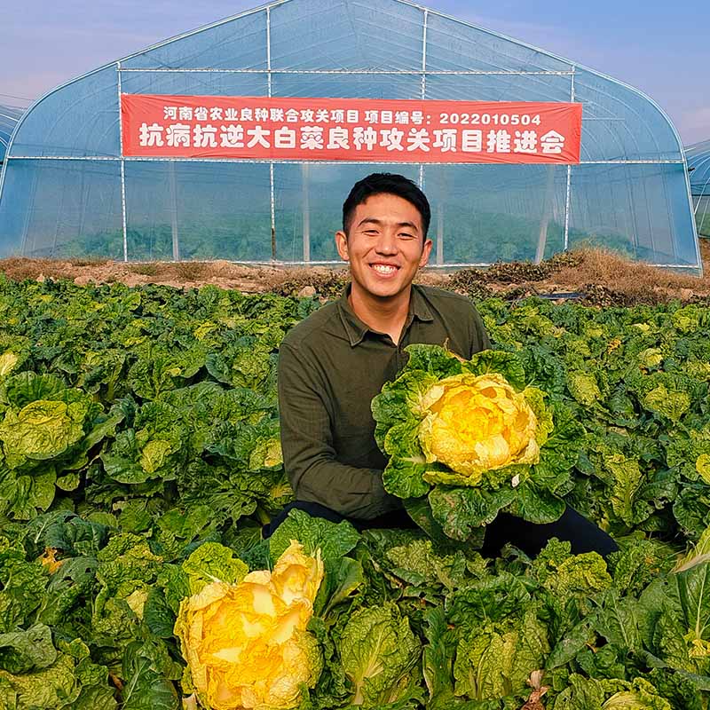 龙芽皇