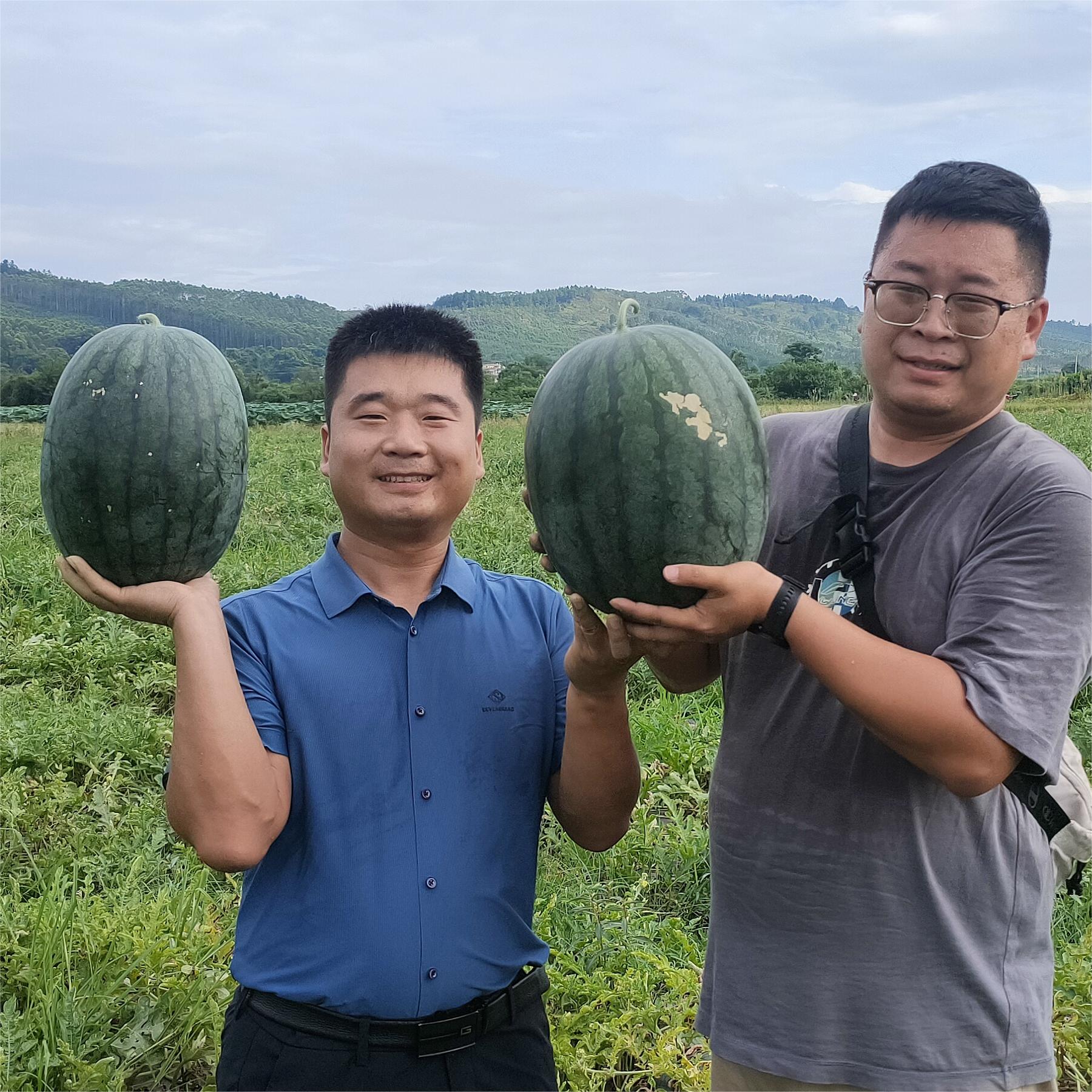 豫艺黑娃二号