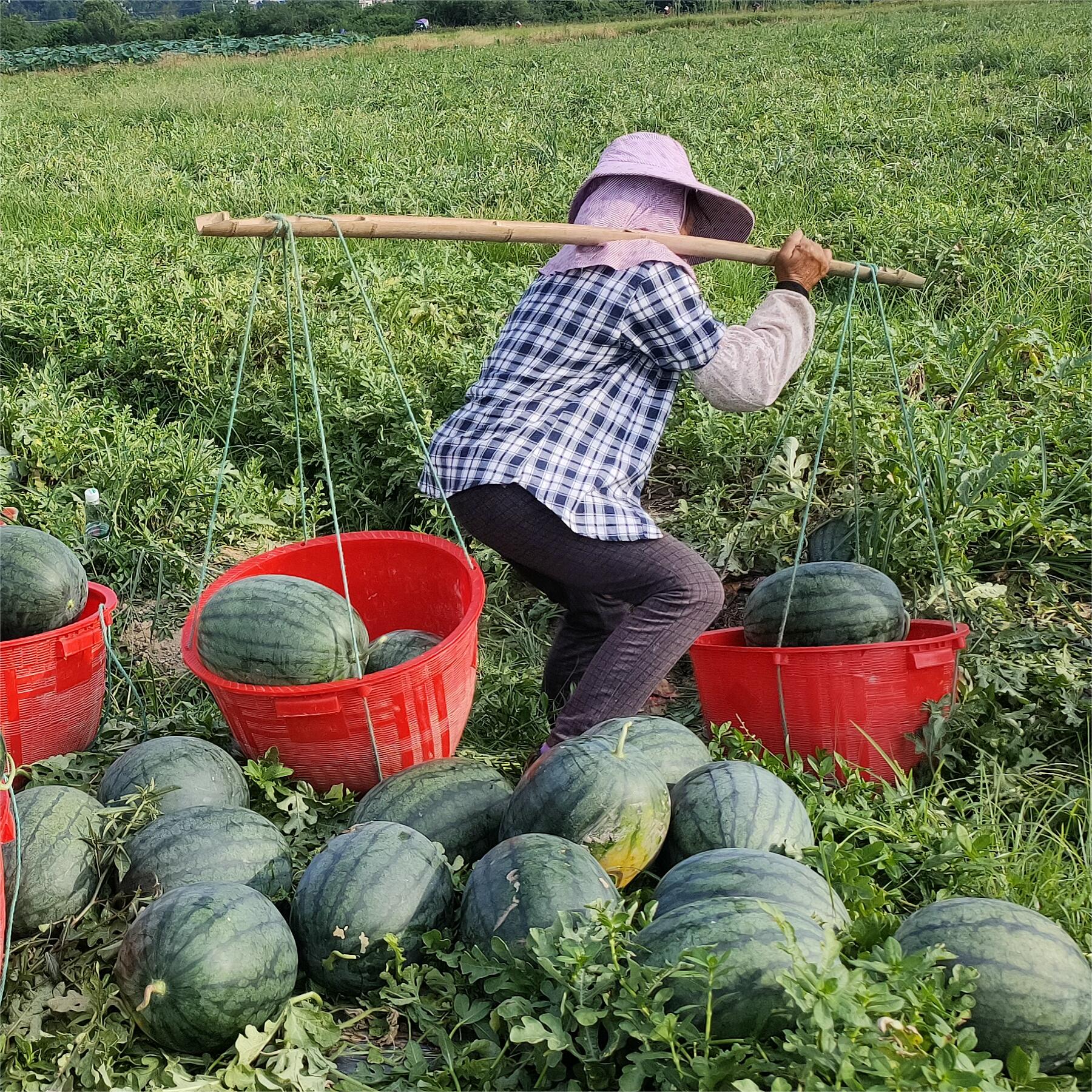 豫艺黑娃二号