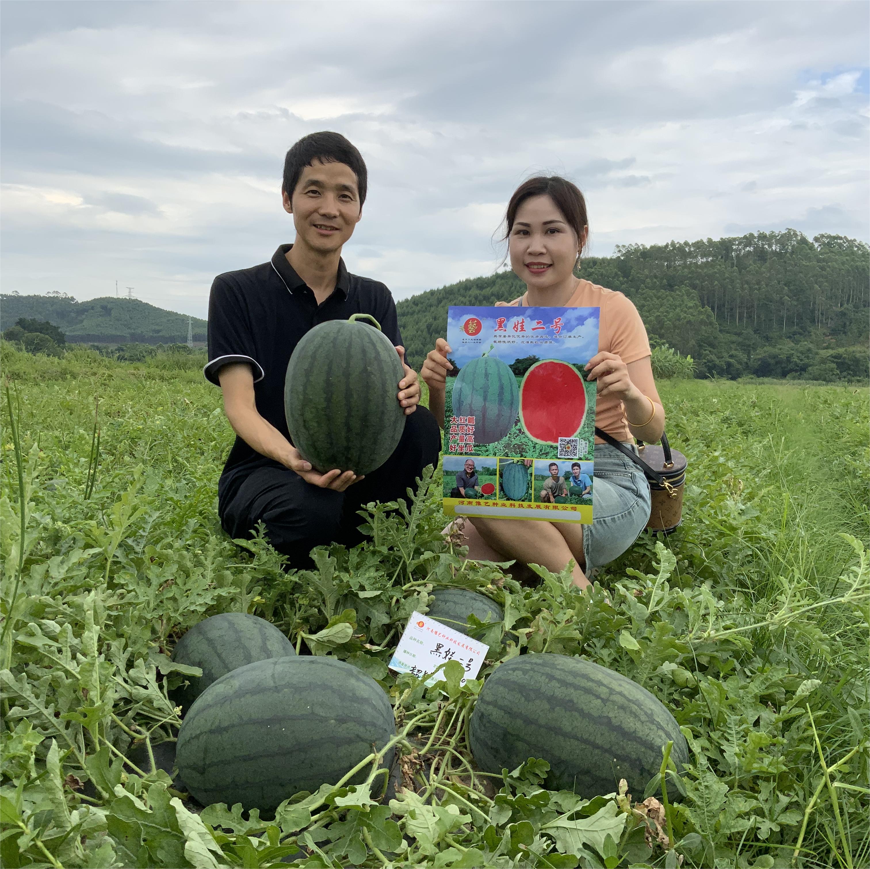 豫艺黑娃二号