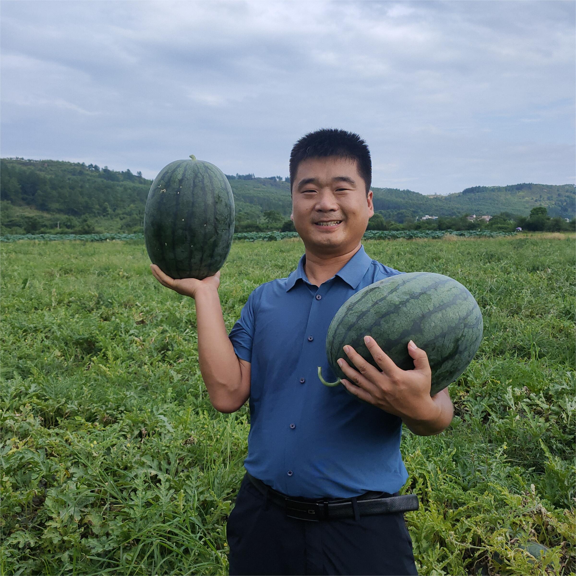 豫艺黑娃二号