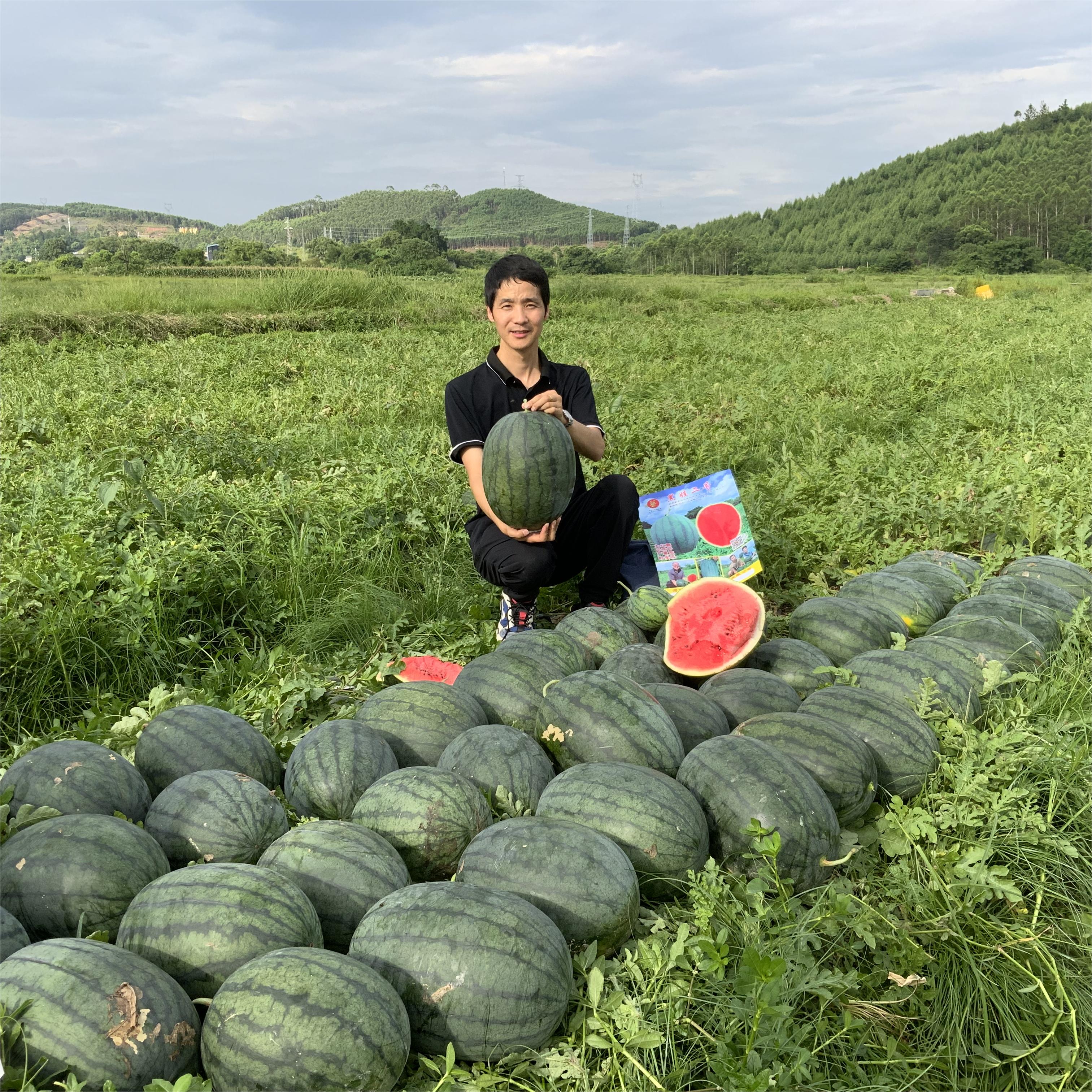 豫艺黑娃二号