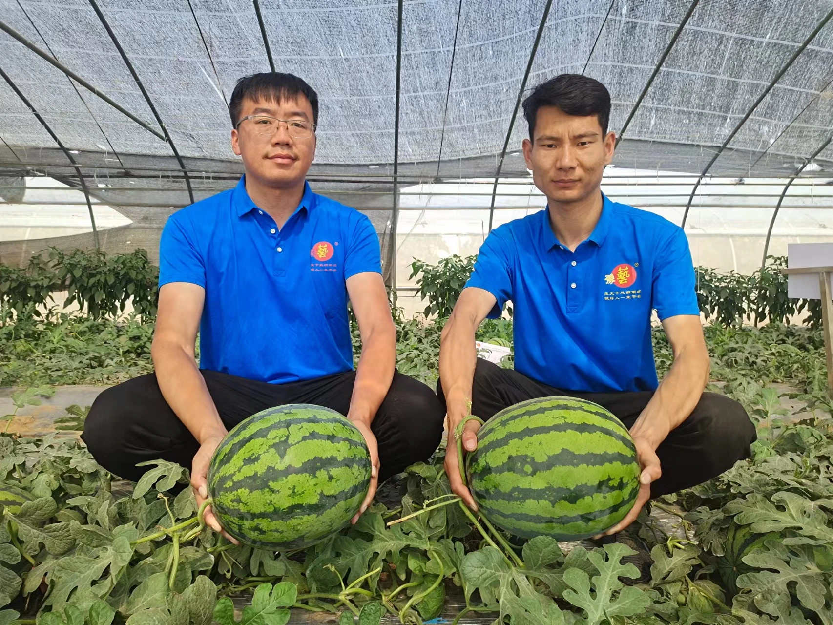 微信图片_20230420085328.jpg 微信图片_20230420085328.jpg