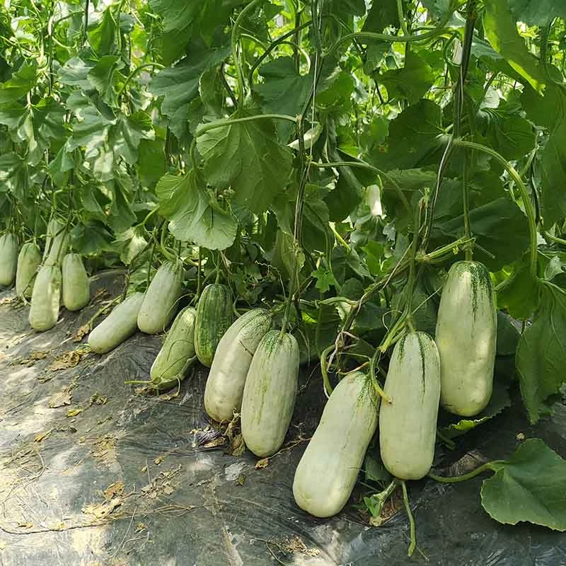 230506163424d4a6bd.jpg 230506163424d4a6bd.jpg