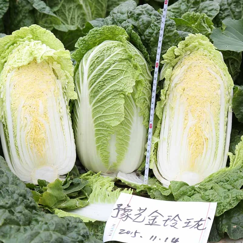 23050514172381dea2.jpg 23050514172381dea2.jpg