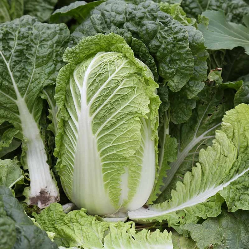 23050514172284142d.jpg 23050514172284142d.jpg