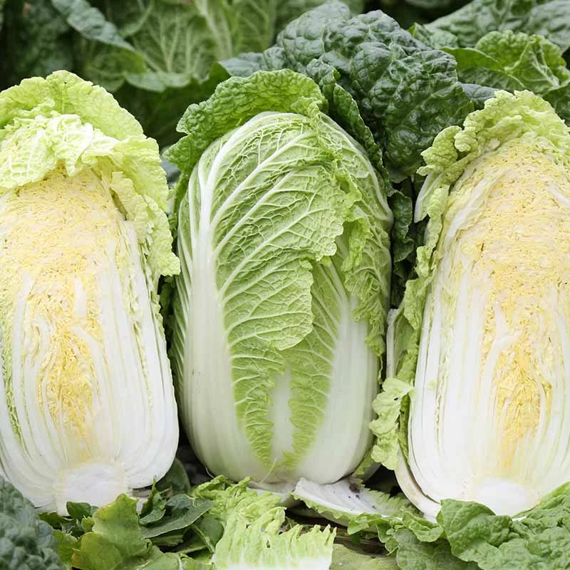 230505141723071c72.jpg 230505141723071c72.jpg