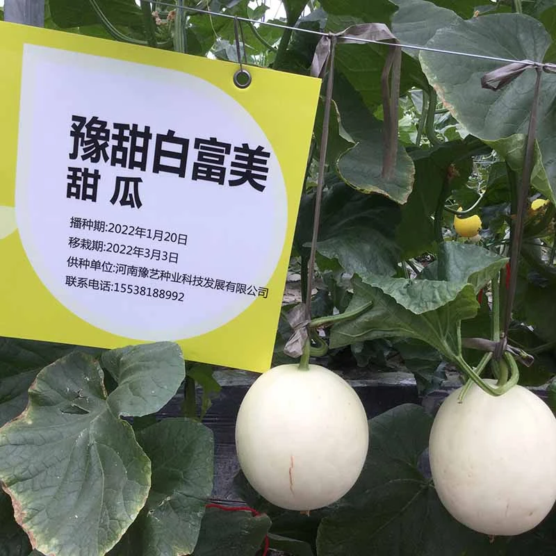 230427165203079e89.jpg 230427165203079e89.jpg