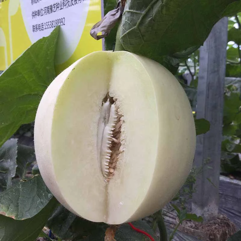 230427165203ceee41.jpg 230427165203ceee41.jpg