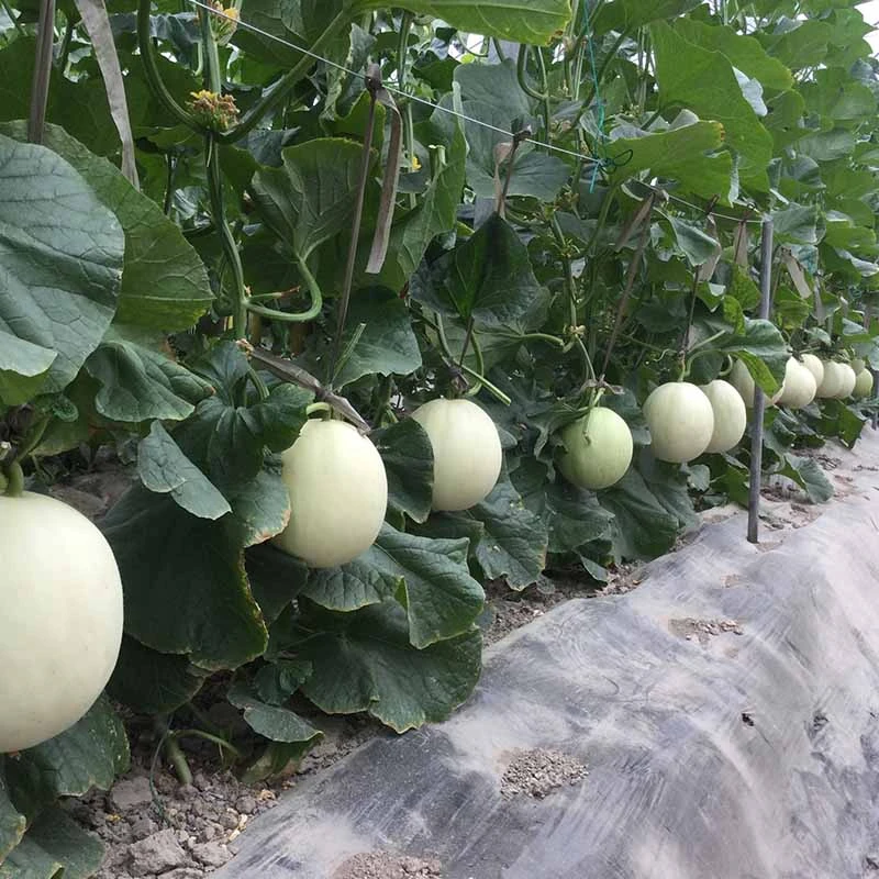 23042716520368d987.jpg 23042716520368d987.jpg