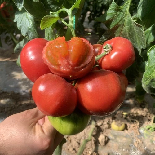 230314102411102448.jpg 230314102411102448.jpg