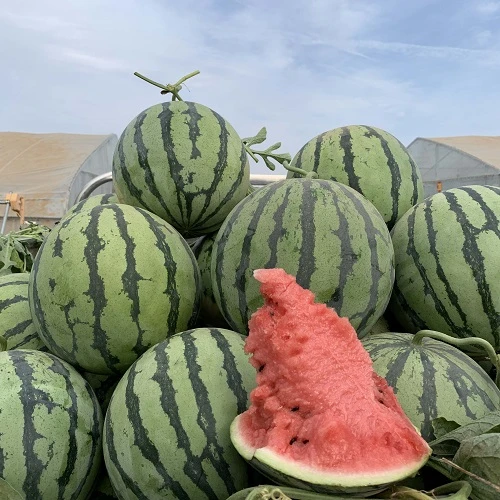 230301145853329015.jpg 230301145853329015.jpg