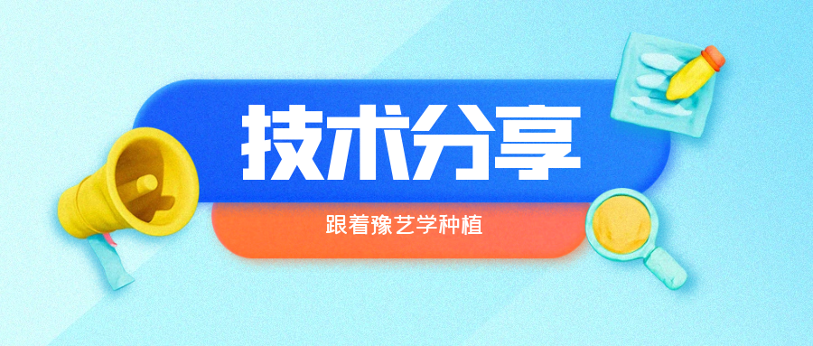 秋大棚辣椒、番茄育苗关键技术分享