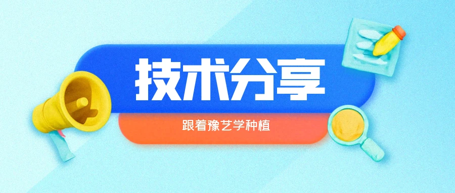 秋大棚辣椒、番茄育苗关键技术分享