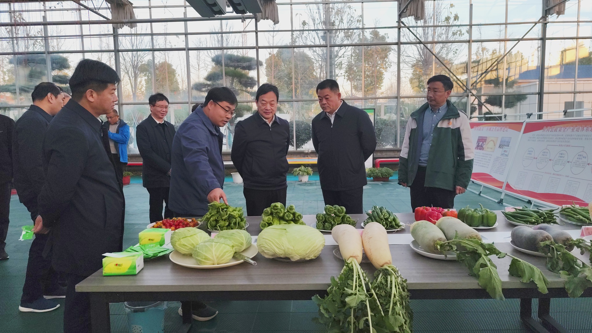河南农业大学校长周卫院士到扶沟蔬菜研究院调研工作
