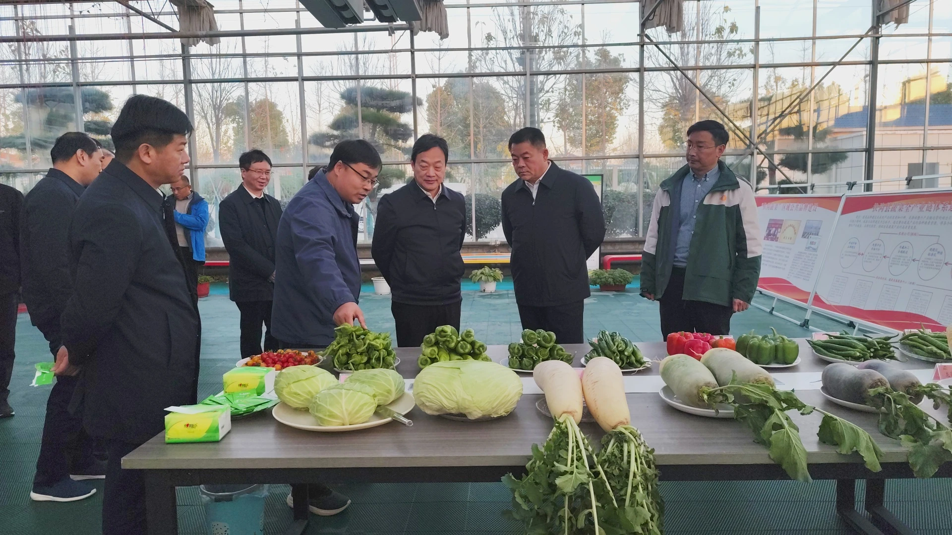 河南农业大学校长周卫院士到扶沟蔬菜研究院调研工作
