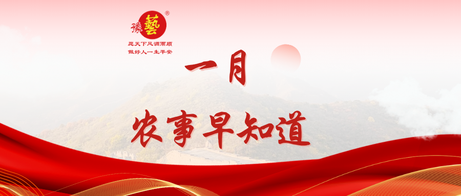 【种瓜种菜早知道】一月农事安排