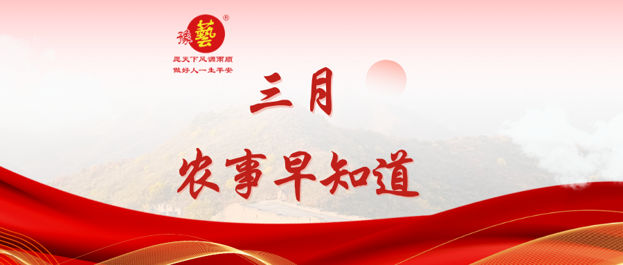 【种瓜种菜早知道】三月农事安排